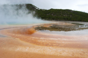 Grand Prismatic Hot Spring | Midway Geyser Basin | Photography by Jenny S.W. Lee