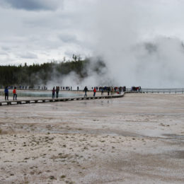 Grand Prismatic Hot Spring | Midway Geyser Basin | Photography by Jenny S.W. Lee