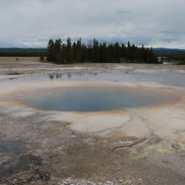 Grand Prismatic Hot Spring | Midway Geyser Basin | Photography by Jenny S.W. Lee