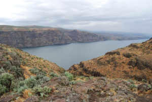 Columbia River, Washington | Photography by Jenny S.W. Lee