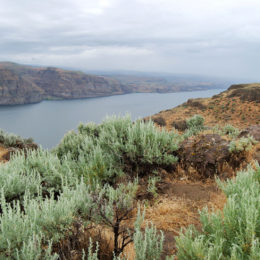 Columbia River, Washington | Photography by Jenny S.W. Lee