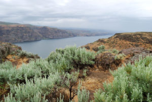 Columbia River, Washington | Photography by Jenny S.W. Lee