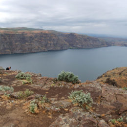 Columbia River, Washington | Photography by Jenny S.W. Lee