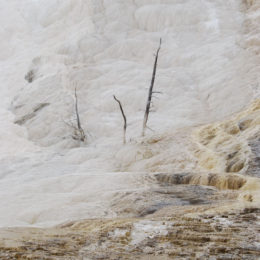 Mammoth Hot Spring | Yellowstone National Park | Photography by Jenny S.W. Lee