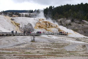Mammoth Hot Spring | Yellowstone National Park | Photography by Jenny S.W. Lee