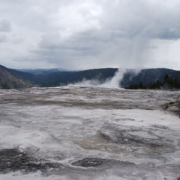 Mammoth Hot Spring | Yellowstone National Park | Photography by Jenny S.W. Lee