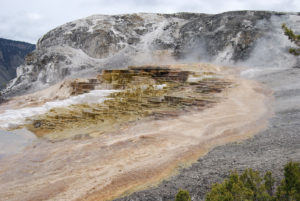 Mammoth Hot Spring | Yellowstone National Park | Photography by Jenny S.W. Lee