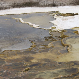 Mammoth Hot Spring | Yellowstone National Park | Photography by Jenny S.W. Lee