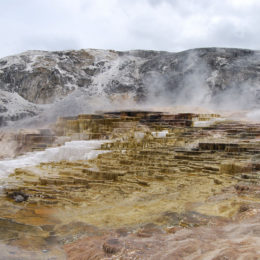 Mammoth Hot Spring | Yellowstone National Park | Photography by Jenny S.W. Lee