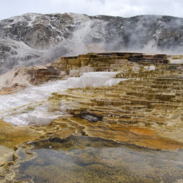 Mammoth Hot Spring | Yellowstone National Park | Photography by Jenny S.W. Lee
