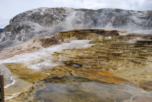 Mammoth Hot Spring | Yellowstone National Park | Photography by Jenny S.W. Lee