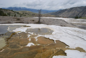 Mammoth Hot Spring | Yellowstone National Park | Photography by Jenny S.W. Lee