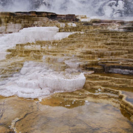 Mammoth Hot Spring | Yellowstone National Park | Photography by Jenny S.W. Lee