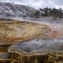Mammoth Hot Spring | Yellowstone National Park | Photography by Jenny S.W. Lee