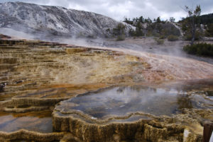 Mammoth Hot Spring | Yellowstone National Park | Photography by Jenny S.W. Lee