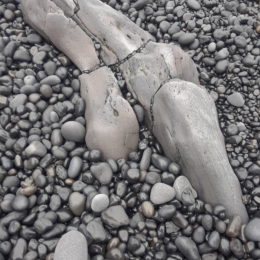 Djupalonssandur | Black Sand Beach | Photography by Jenny SW Lee