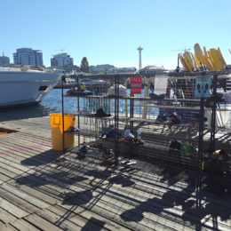 Kayaking at South Lake Union (SLU) | Photography by Jenny SW Lee