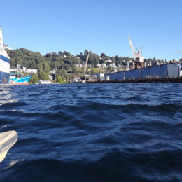 Kayaking at South Lake Union (SLU) | Photography by Jenny SW Lee