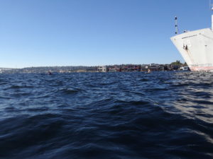 Kayaking at South Lake Union (SLU) | Photography by Jenny SW Lee