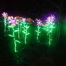 Garden d'Lights 2021