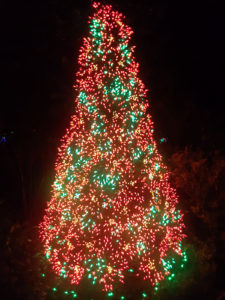 Garden d'Lights 2021