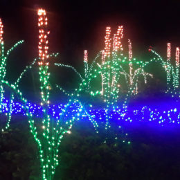 Garden d'Lights 2021