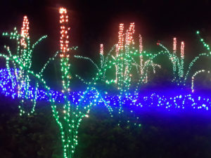 Garden d'Lights 2021