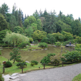 Seattle Japanese Garden | Washington Park Arboretum | Photography by Jenny S.W. Lee
