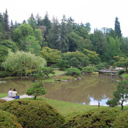 Seattle Japanese Garden | Washington Park Arboretum | Photography by Jenny S.W. Lee