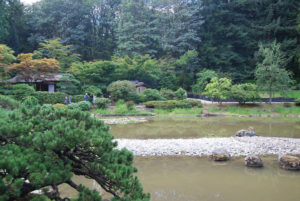 Seattle Japanese Garden | Washington Park Arboretum | Photography by Jenny S.W. Lee