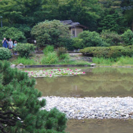 Seattle Japanese Garden | Washington Park Arboretum | Photography by Jenny S.W. Lee