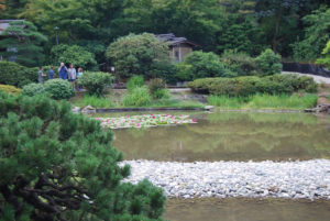 Seattle Japanese Garden | Washington Park Arboretum | Photography by Jenny S.W. Lee