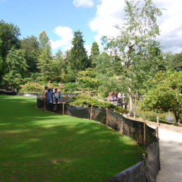 Seattle Japanese Garden | Washington Park Arboretum | Photography by Jenny S.W. Lee