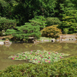 Seattle Japanese Garden | Washington Park Arboretum | Photography by Jenny S.W. Lee