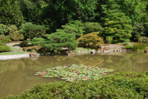 Seattle Japanese Garden | Washington Park Arboretum | Photography by Jenny S.W. Lee