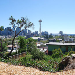 Kerry Park, Washington | Photography by Jenny S.W. Lee