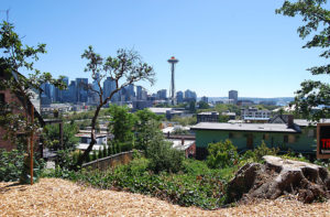 Kerry Park, Washington | Photography by Jenny S.W. Lee