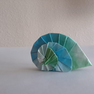 Navel Shell | Design by Tomoko Fuse