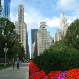 Millennium Park, Chicago | Photography by Jenny S.W. Lee