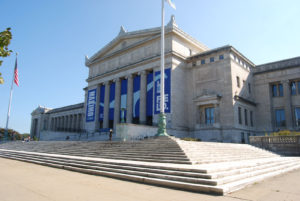 Field Museum, Chicago | Photography by Jenny S.W. Lee