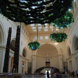 Field Museum, Chicago | Photography by Jenny S.W. Lee