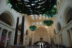 Field Museum, Chicago | Photography by Jenny S.W. Lee