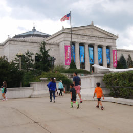 Shedd Aquarium, Chicago