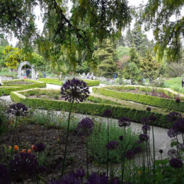 VanDusen Botanical Garden | Photography by Jenny SW Lee