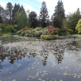 VanDusen Botanical Garden | Photography by Jenny SW Lee