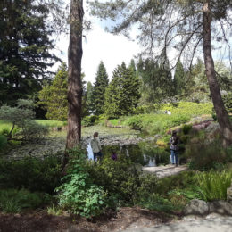 VanDusen Botanical Garden | Photography by Jenny SW Lee