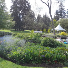 VanDusen Botanical Garden | Photography by Jenny SW Lee