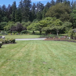 Stanley Park Rose Garden, Vancouver BC, Canada | Photography by Jenny S.W. Lee