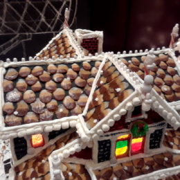 Gingerbread Lane 30th Anniversary - Hyatt Regency | Vancouver, BC | Photography by Jenny S.W. Lee