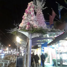 Fleurs de Villes NOËL | Vancouver, BC | Photography by Jenny S.W. Lee
